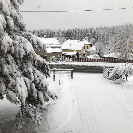Ferienwohnung Zur Geigenbachtalsperre Poppengrun エクステリア 写真