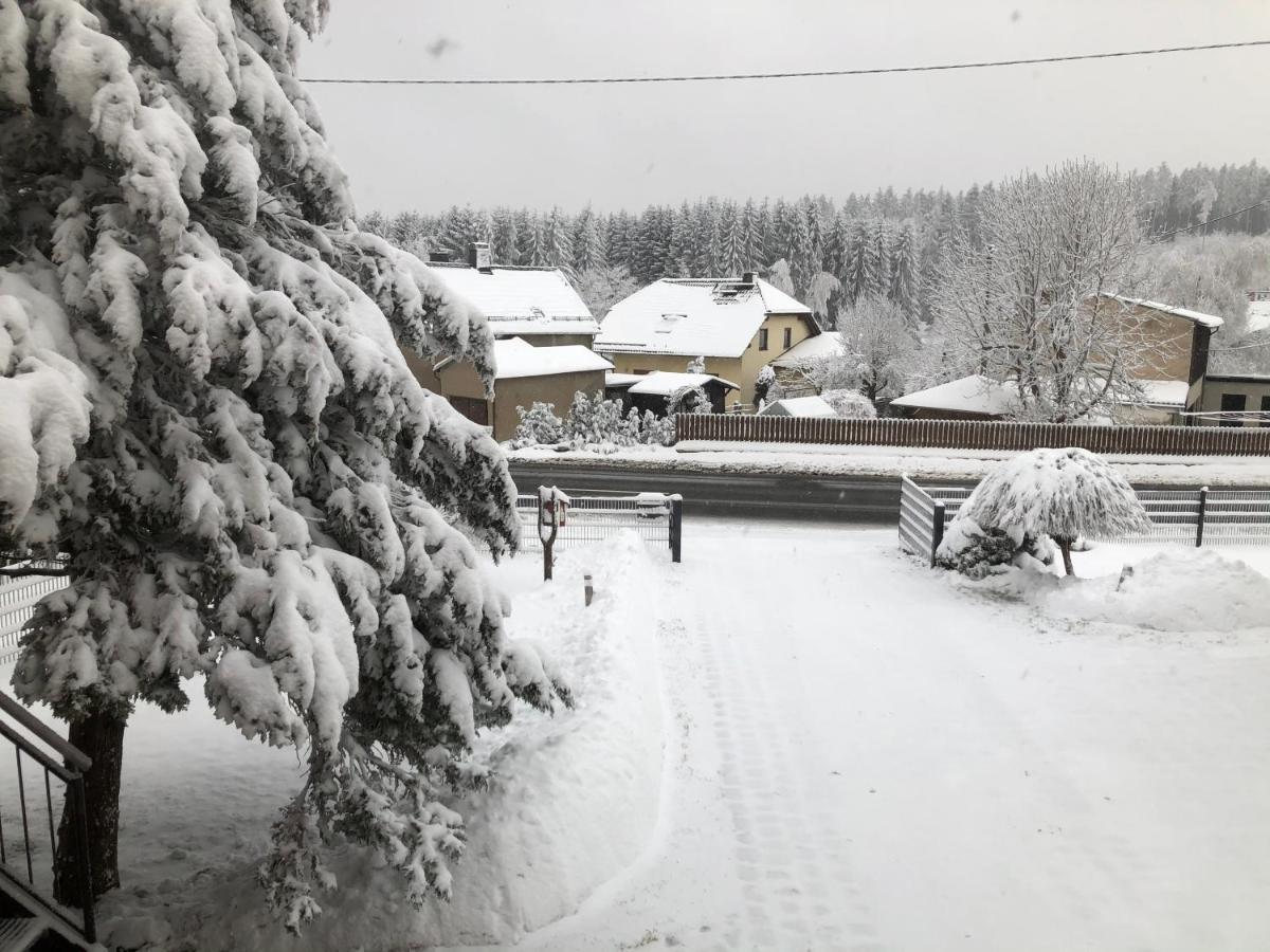 Ferienwohnung Zur Geigenbachtalsperre Poppengrun エクステリア 写真